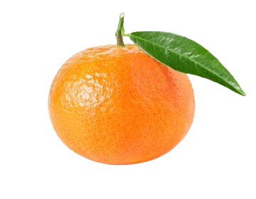 A mandarin